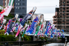 重いだけある？