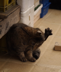 お～い!!　ボールがいったぞ～!!