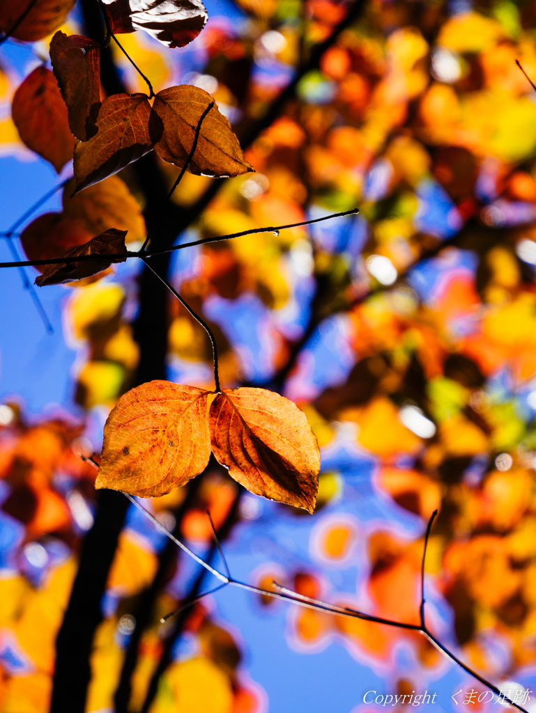 君はまだそこにいますか