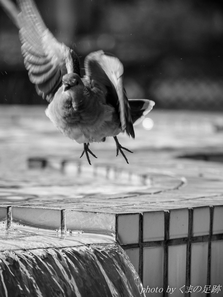 TAKE OFF