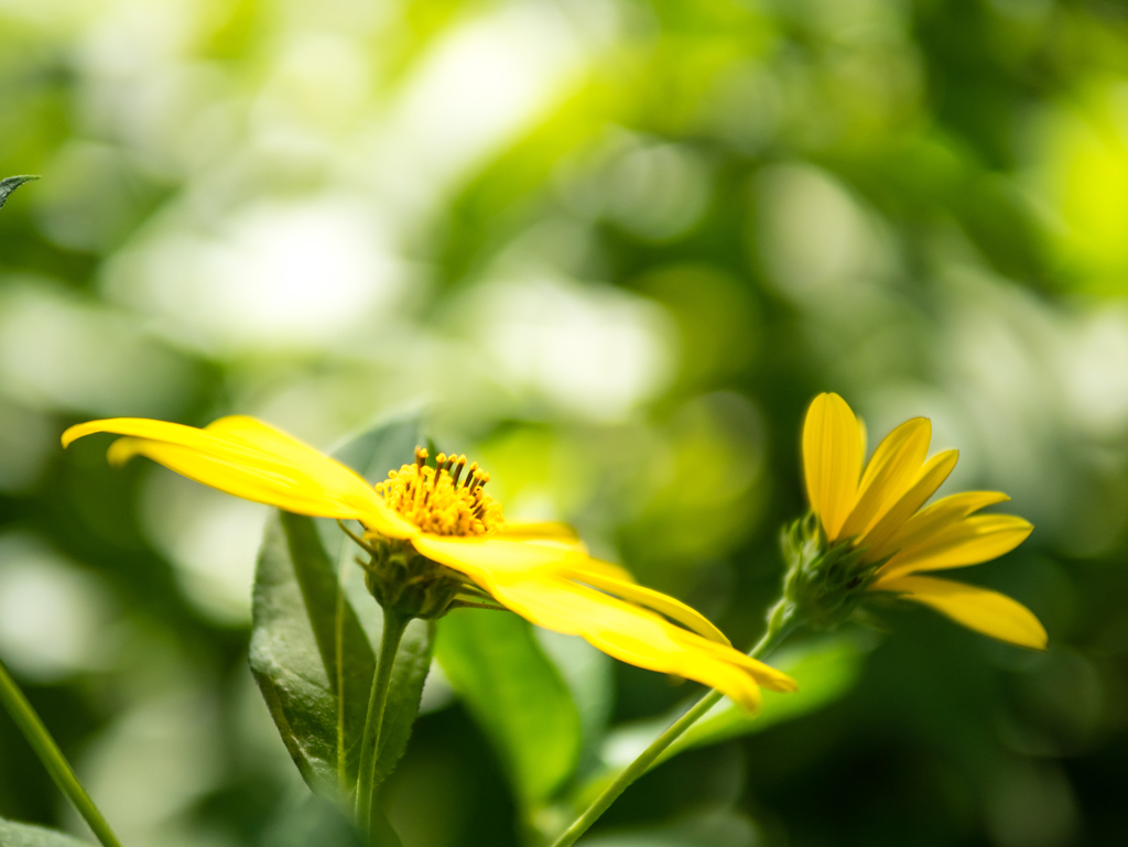 たまには昔を振り返り