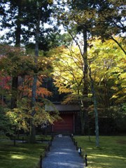 京都補完計画 其ノ参拾肆