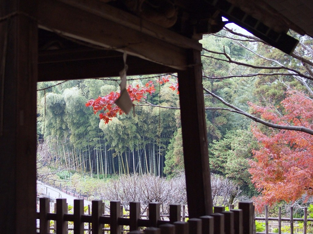 補完ノ補間 拾弐