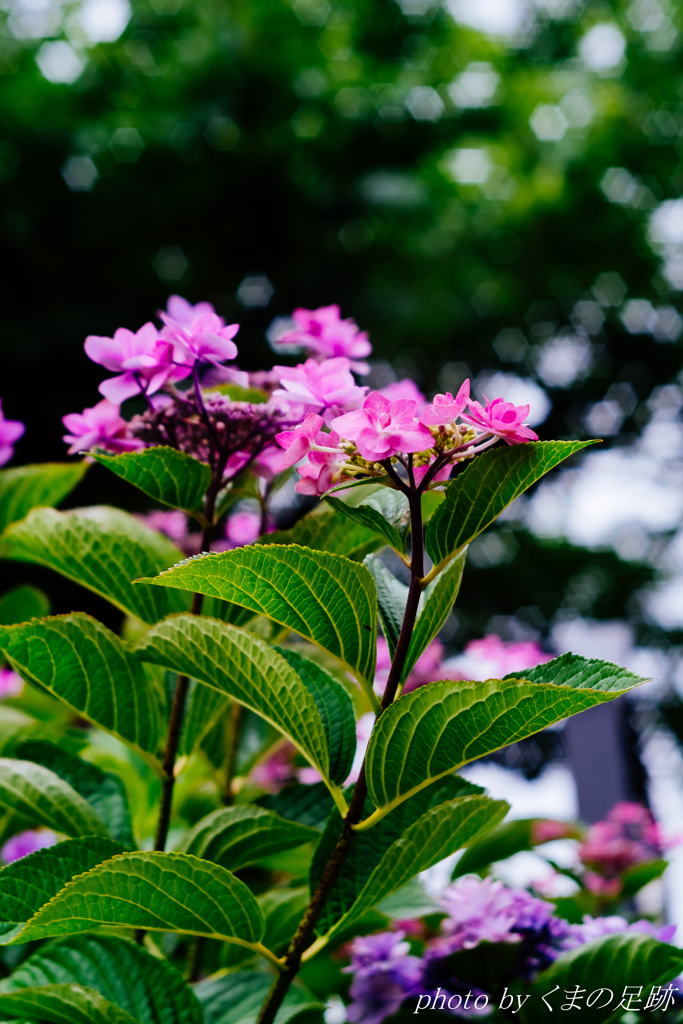 昼の星は見えない、感じるだけさ