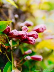 沈黙は金なのか？