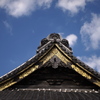 渋み