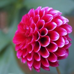 秋宴 ～ｼｭｳｴﾝ～ Ⅳ