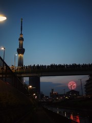 下町の夏