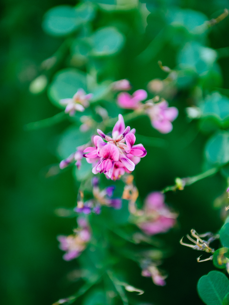 漠然とした気持ち