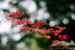 気づいたときはいつも