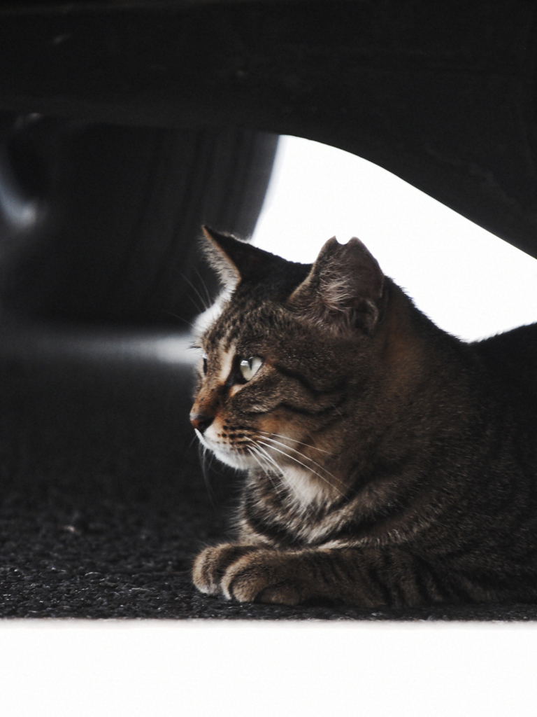 誰かこないかな