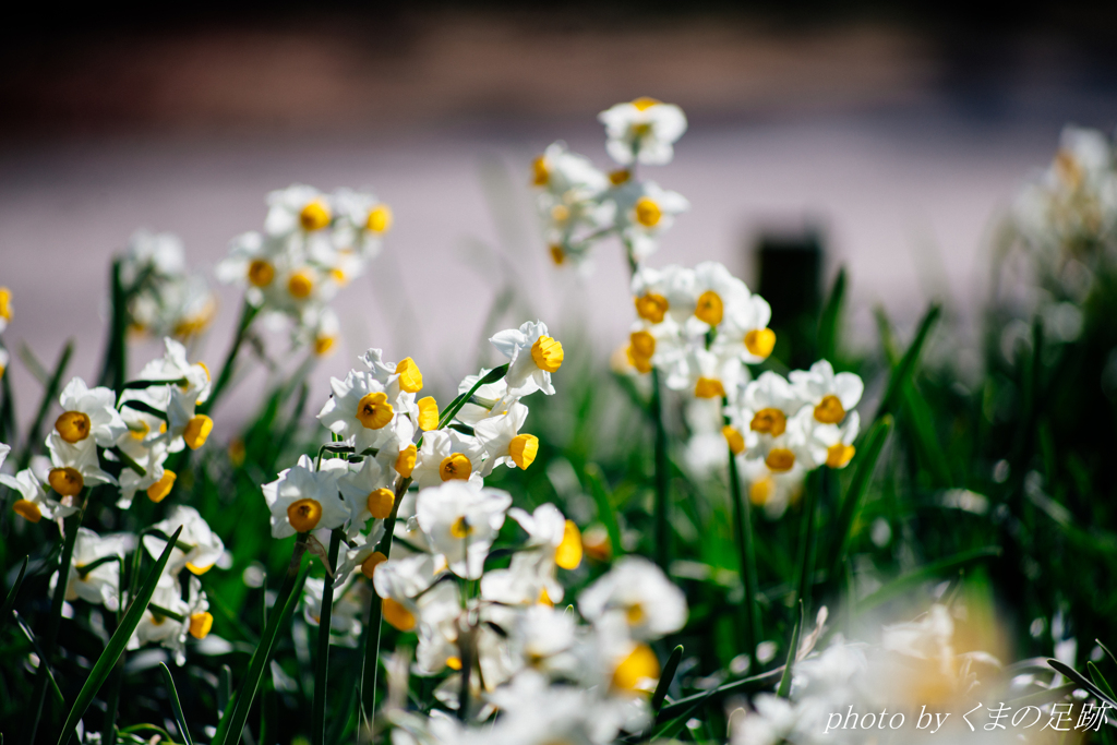 あ～あしたの今頃は