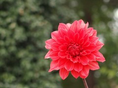 秋宴 ～ｼｭｳｴﾝ～ Ⅶ