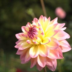 秋宴 ～ｼｭｳｴﾝ～ ⅩⅧ