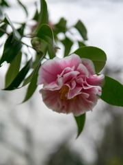 ぬくもりを感じて