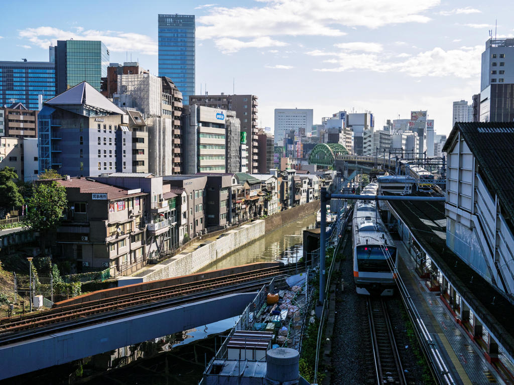 秋の20mm