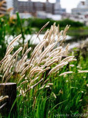 逆行する世界で