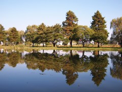 秋の水面 Ⅲ