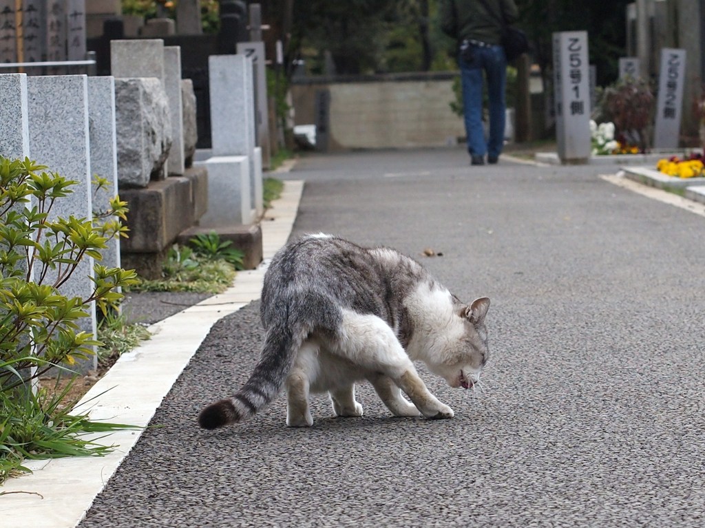ひとり ツイスター？