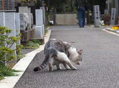 ひとり ツイスター？