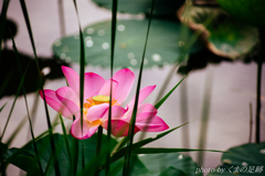 ゆく夏、くる秋