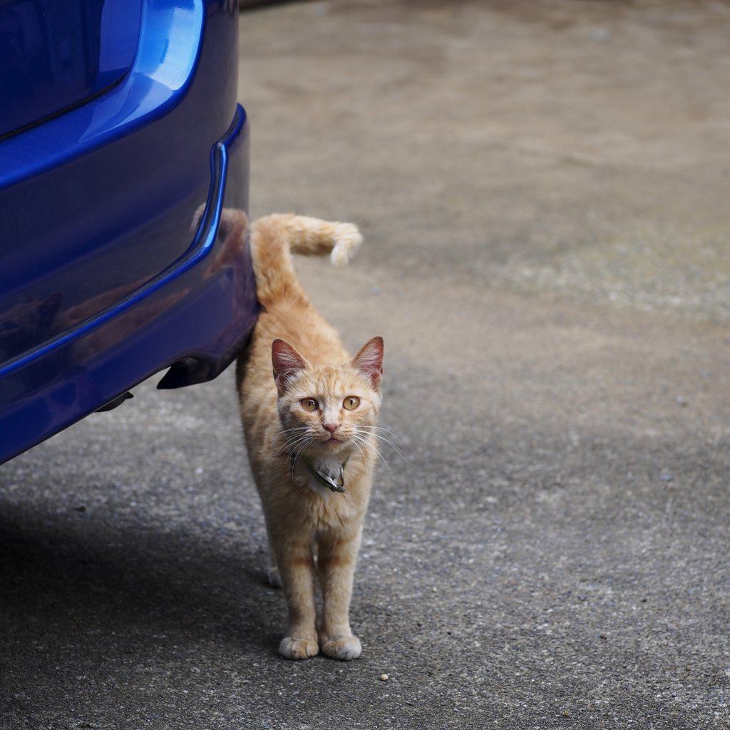 遊んでくれないの？