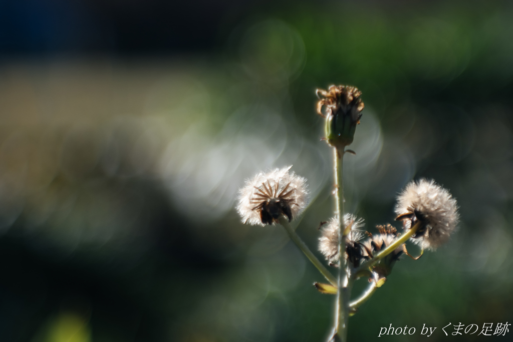 もう少し早く出会えていれば