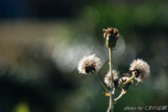 もう少し早く出会えていれば