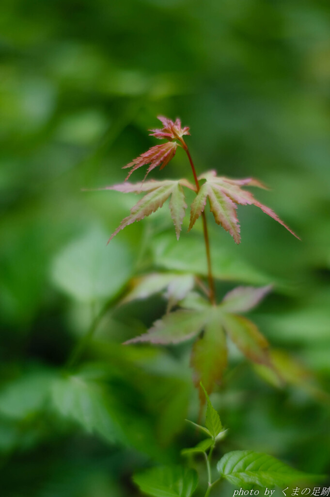 そこにとどまることは出来ないにしても
