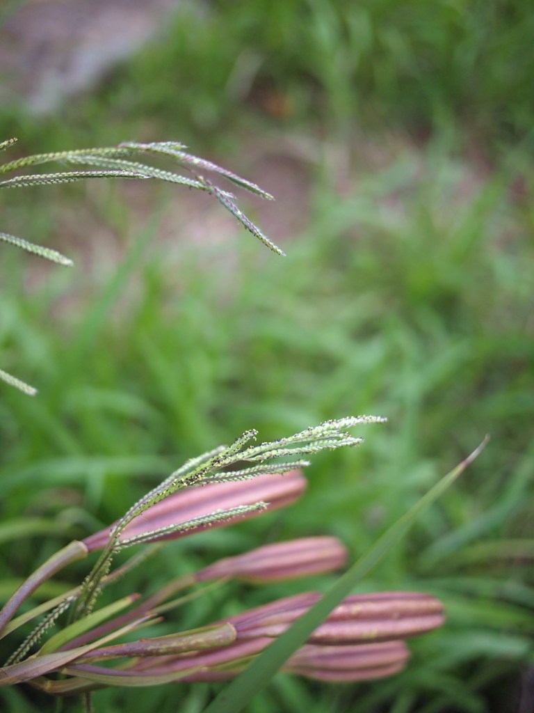 ひそやかに秋を楽しむ ⅣⅩⅣ