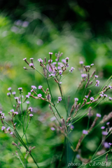 暑さ寒さも･･･