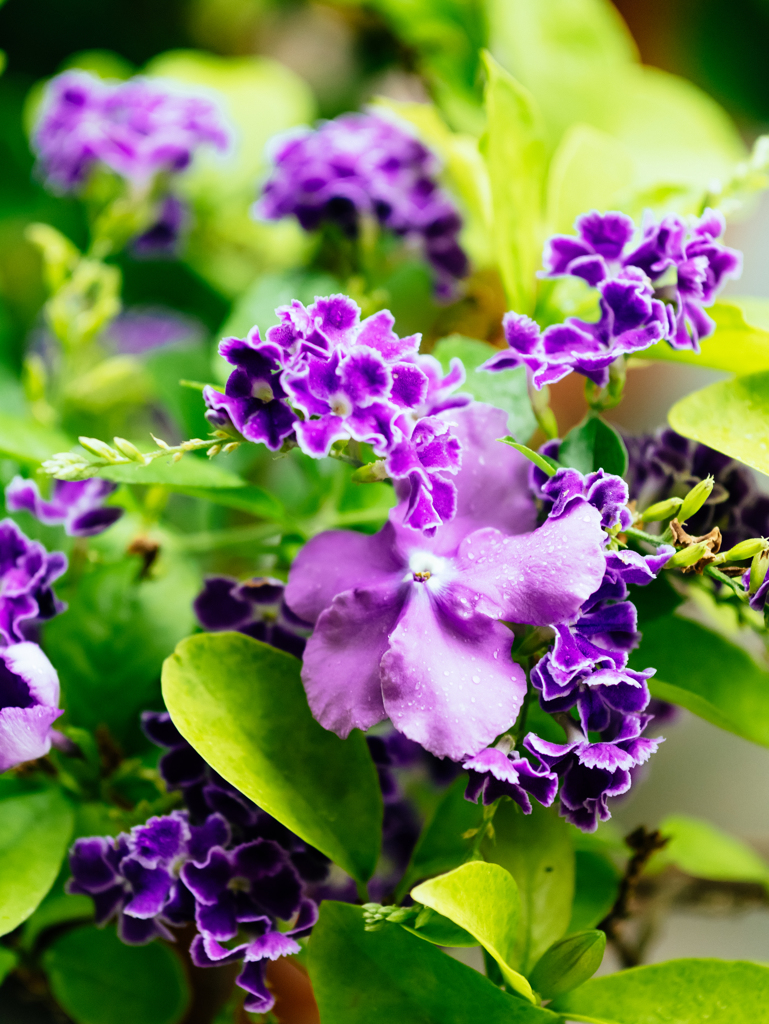 受け入れること