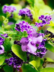 受け入れること