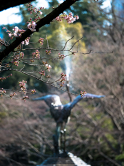 はるいろ