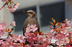 その瞳