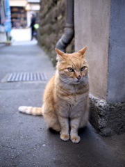路地での出会い