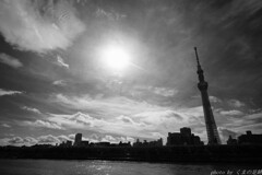 現在目の当たりにする「失敗の本質」