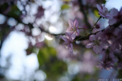 土曜日の空気感