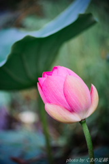 あまりに絵画的な