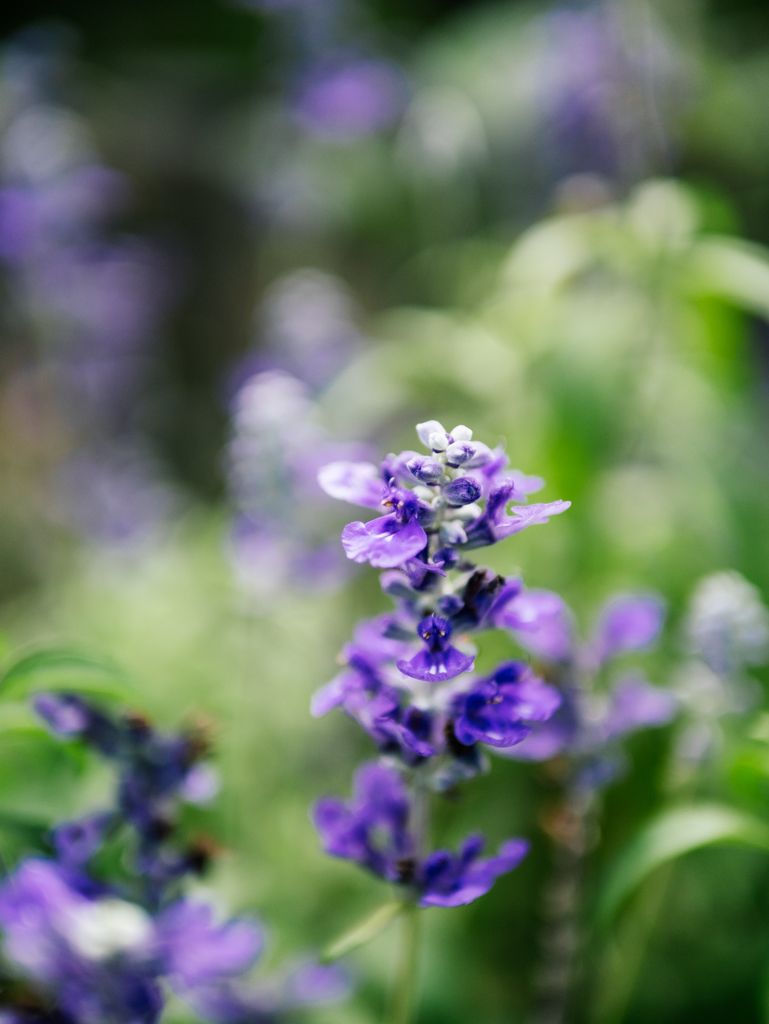 そこにあるだけで