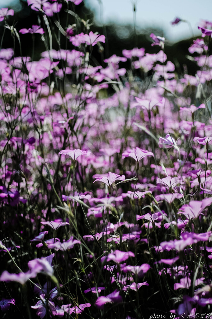 その先に待つもの