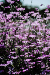 その先に待つもの