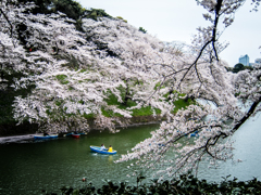 ついこのまえの春