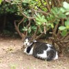 残暑ですが何か？