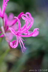 やっと会えたね