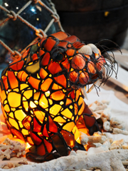 僕についてきなよ　碧い海がまってるよ