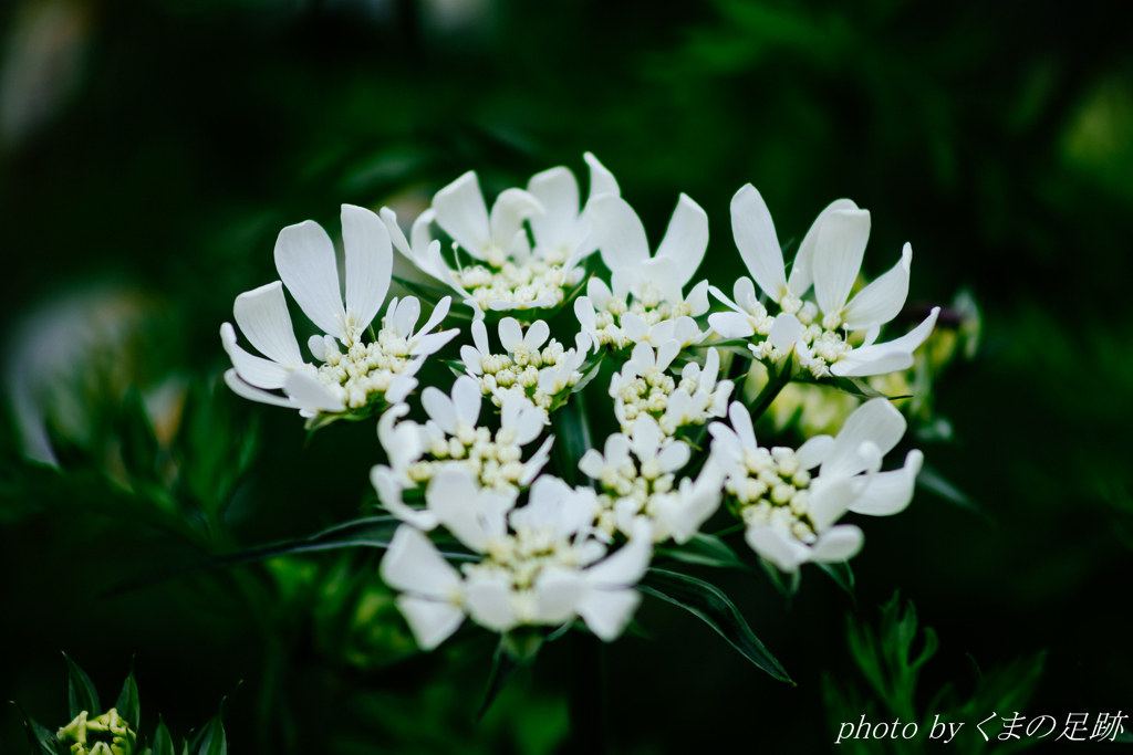 連休を振り返り　そのよん