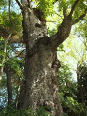 京都補完計画 其ノ捌拾参