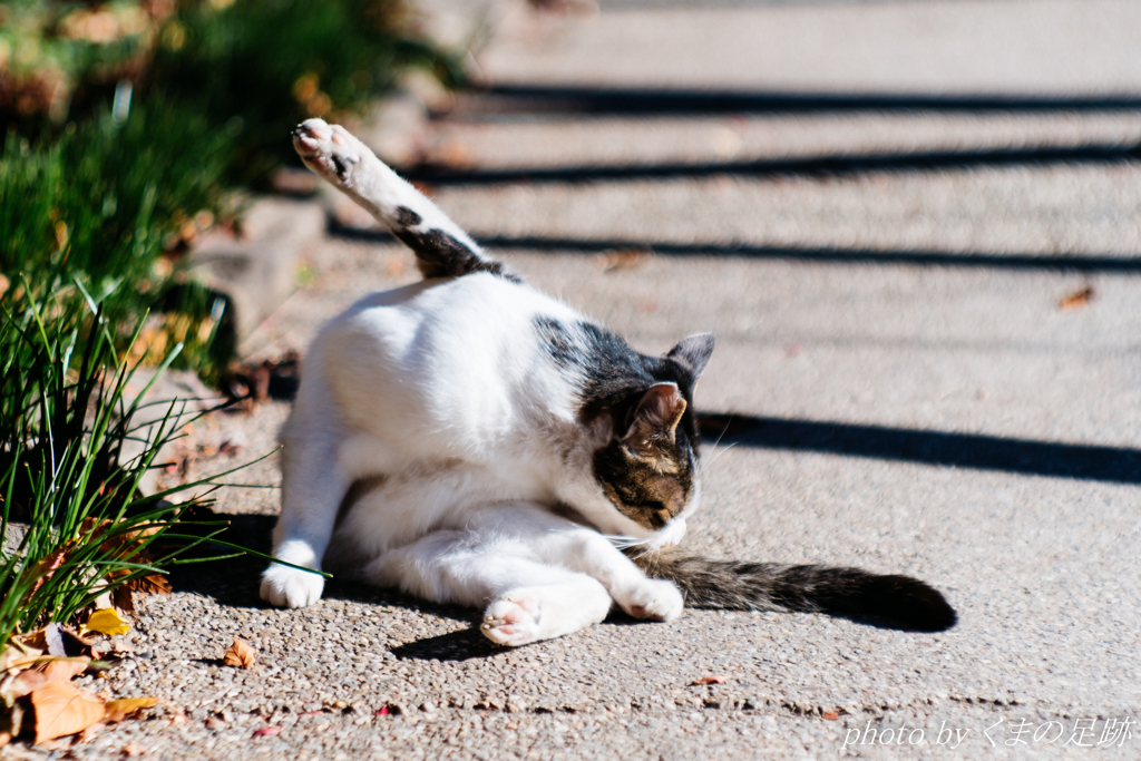 直角二等辺三角形構図