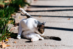 直角二等辺三角形構図